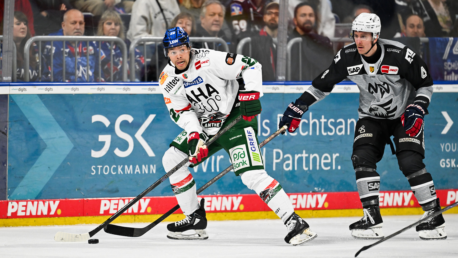 Adler Mannheim gg. Augsburger Panther